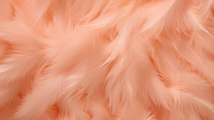 Feather background in Peach Fuzz shade, delicate color of the year, banner.