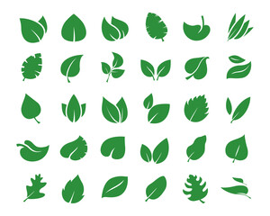 Leaf simply icon set. Vector illustration of green leaves from a tree. 