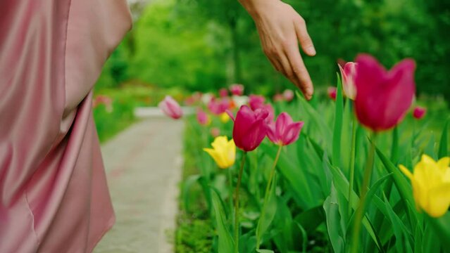 Close-up hand fingers touching blooming spring garden enjoys flowers tulips tree green grass alley. Woman queen Fantasy girl princess walks back rear view. pink dress vintage old style. lady dream. 4k