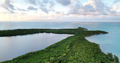 laguna grande drone view (bioluminescent bay fajardo puerto rico) bio luminescent kayak, canoe trip tourism (travel destination) el yunque rainforest jungle and caribbean sea coast, beach, bay, harbor © Yuriy T