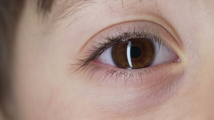 Obraz premium Extreme macro close-up of child's eye looking at camera. retina iris eyesight of kid