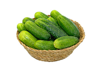 Baby cucumbers in a basket to make pickle