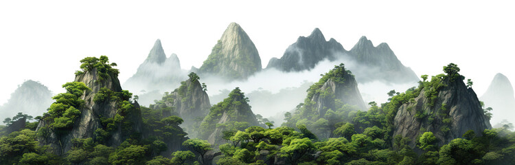 Lush green tropical rainforest landscape with misty mountains at dawn, cut out