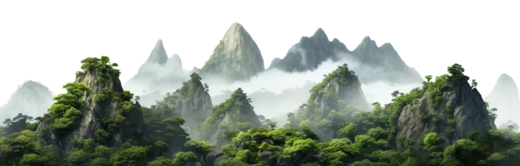 Foto op Plexiglas Lush green tropical rainforest landscape with misty mountains at dawn, cut out © Yeti Studio