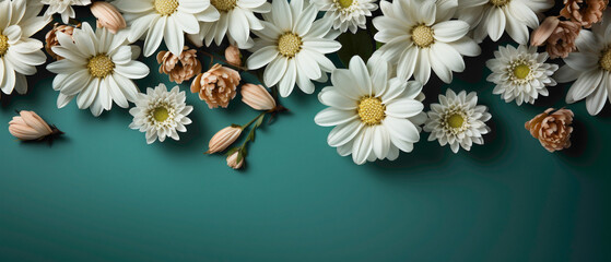A composition of vibrant daisies arranged beside a fresh mint green abstract background, creating a harmonious and refreshing image with a central area for text.