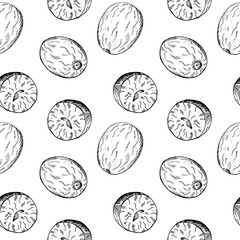 Nutmeg seamless pattern hand drawn vector illustration repeating background with spicy nuts. Backdrop with Mace plant sketch for cooking, medicine, perfumery. For flyer, wrapping, print, paper, card