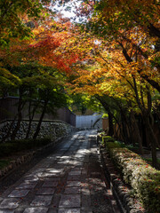 Quiet narrow alley near Tofukuji temple with autumn colors - Kyoto, Japan