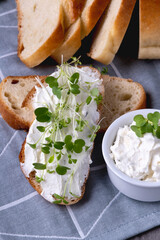 Sandwich with cottage cheese. Healthy eating concept