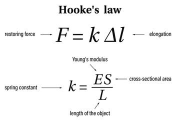 Hooke’s law on the white background. Education. Science. School. Vector illustration. - obrazy, fototapety, plakaty