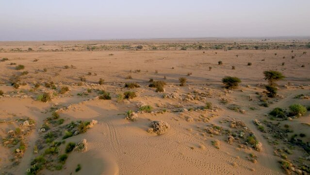 aerial drone shot gaining height over thar desert with small bushes at dusk with sand dunes stretching far into the distance and no people visible
