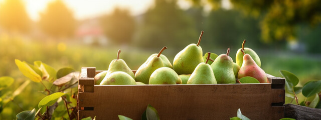 Organic pears in a wooden box on the field.Generative AI