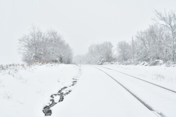 Snowy Trees by Train Tracks