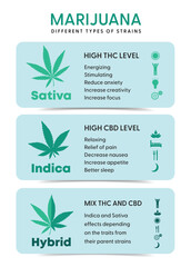 cannabis info