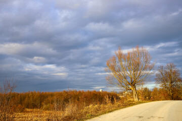 Autumn grassy plain in the warm golden rays of the autumn morning sun. Turn of the country road, yellow-orange grass and blue sky. The beauty of the native land. Ukraine, Europe.