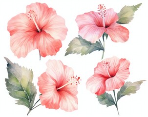 Four Pink Flowers With Green Leaves on White Background