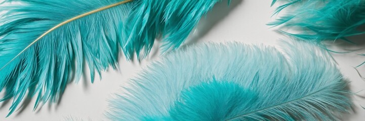 Header, turquoise fluffy feathers background