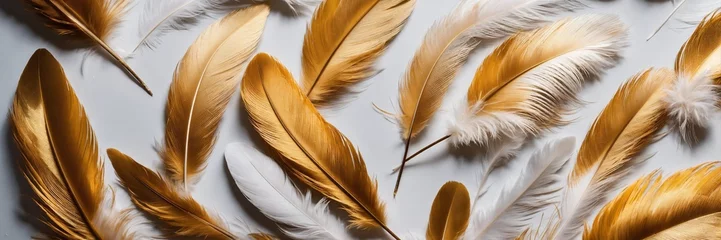 Fotobehang Veren Header, golden-white fluffy feathers background