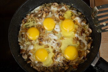 Cooking mushrooms with eggs and onions. Cooking at home. A series of photos.