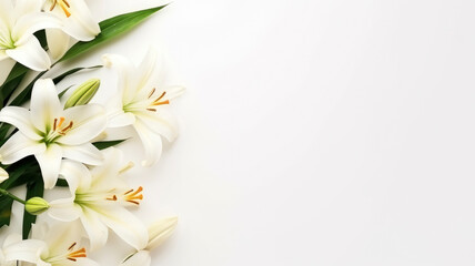 flowers white pastel lilies composition on a white background copy space template