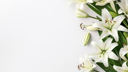 Fototapeta na wymiar flowers white pastel lilies composition on a white background copy space template