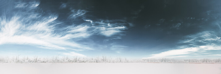 Snow Covered Forest. Frosted Trees Frozen Trunks Woods In Winter Snowy Forest Landscape. Altered Sky.