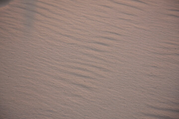 Zambia Zambezi River at dawn