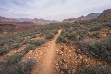hiking the tonto trail in the grand canyon national park, arizona, usa
