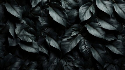 Textures of abstract black leaves for tropical leaf background. Flat lay wallpaper background, dark nature concept, tropical leaf created with generative ai