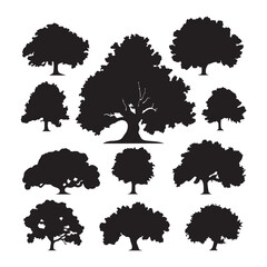 A black silhouette Oak tree set, Clipart on a white Background, Simple and Clean design, simplistic