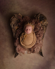 Baby girl wrapped in camel colored wrap sitting on angel wings prop