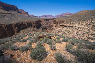 hiking the tonto trail in the grand canyon national park, arizona, usa