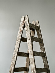 Ladder With Plain Background