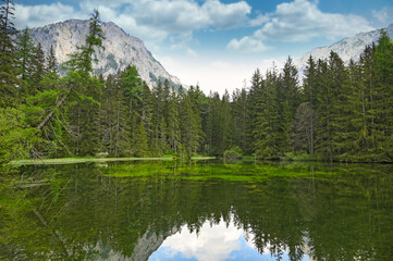 Fototapeta na wymiar The Green Lake and mountains in Styria, Austria, landscape