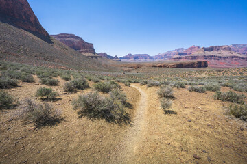 hiking the tonto trail in the grand canyon national park, arizona, usa