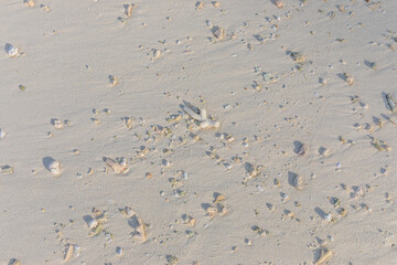 white sand in the Maldives