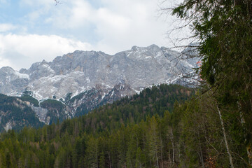 Landschaftsfotografie Zugspitze hinter Nadelwald