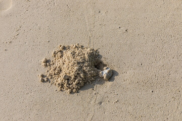 white sand in the Maldives