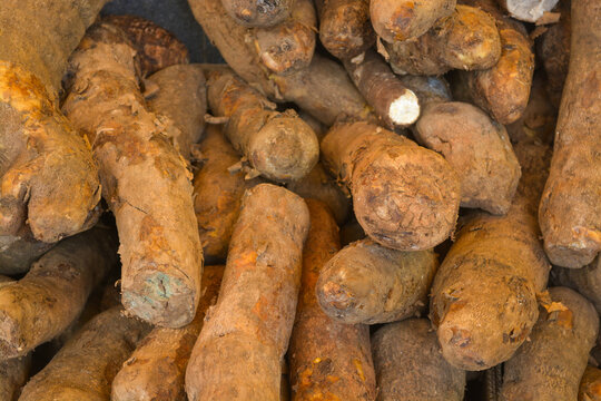 Close up of Arracacha (Arracacia xanthorrhiza) on the market stall. 