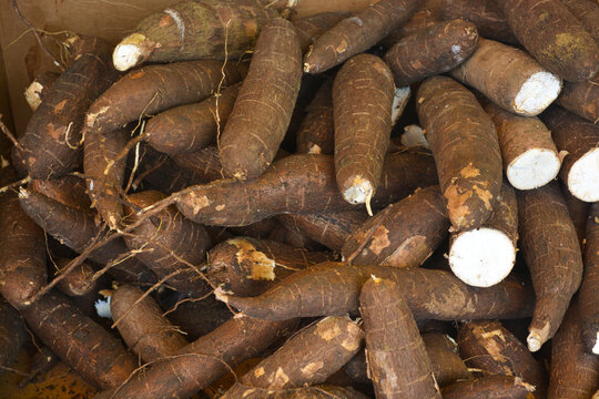 Close up view of a pile of cassava roots (Manihot esculenta) displayed on market stall. 