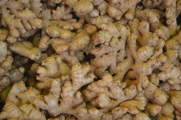 Close up view on a pile of fresh ginger roots. 