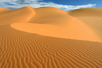 Fototapeta na wymiar SAHARA DESERT WITH SAND DUNES IN SOUTHERN ALGERIA AROUND DJANET OASIS