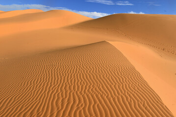 Fototapeta na wymiar SAHARA DESERT IN ALGERIA. SAND DUNES AND ROCK FORMATIONS AROUND THE OASIS OF DJANET