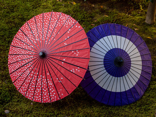 Two colorful Japanese oil paper umbrellas displayed in a moss covered garden in autumn