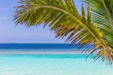 Naklejka premium Palm trees on a tropical island in the Maldives