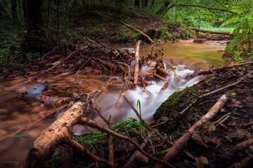 Gestrüpp und Stöcker an der Schwindequelle