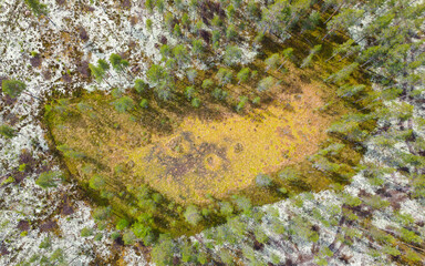 Treetops from the air, Rokua forest in Finland