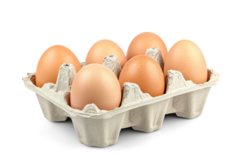 fresh eggs in carton pack isolated on white or transparent background