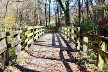 A front view of the old wood bridge in the forest.
