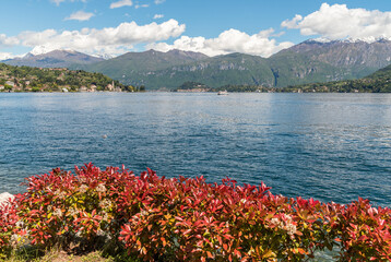 Landscape of Lake Como in the sunny spring day, Tremezzina, Lombardy, Italy