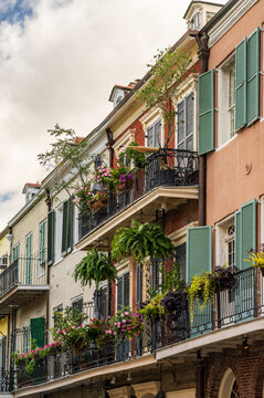 Row of tradional New Orleans building in the French Quarter of the city with wrought iron balconies